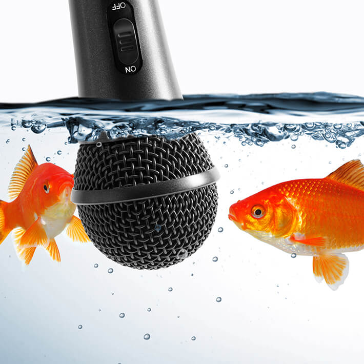 two goldfish speaking into a microphone